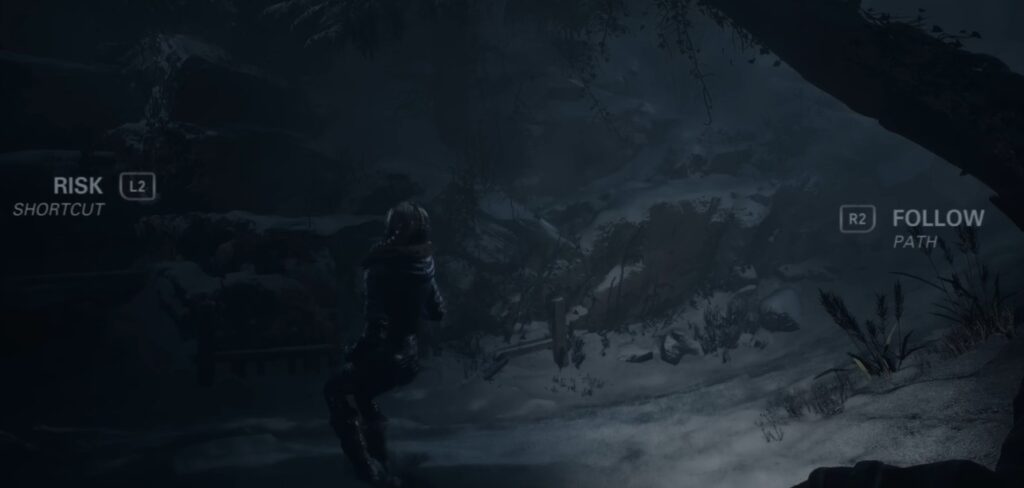 until dawn character choices between risk and follow