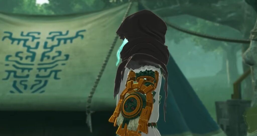 Hyrule Warriors Age of Imprisonment gamer melts cover