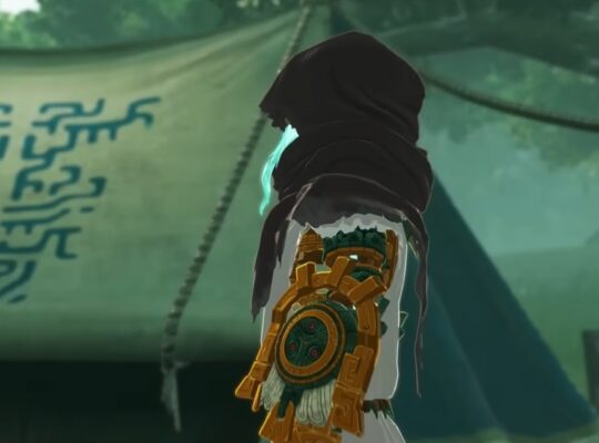 Hyrule Warriors Age of Imprisonment gamer melts cover