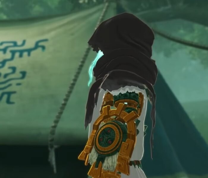 Hyrule Warriors Age of Imprisonment gamer melts cover